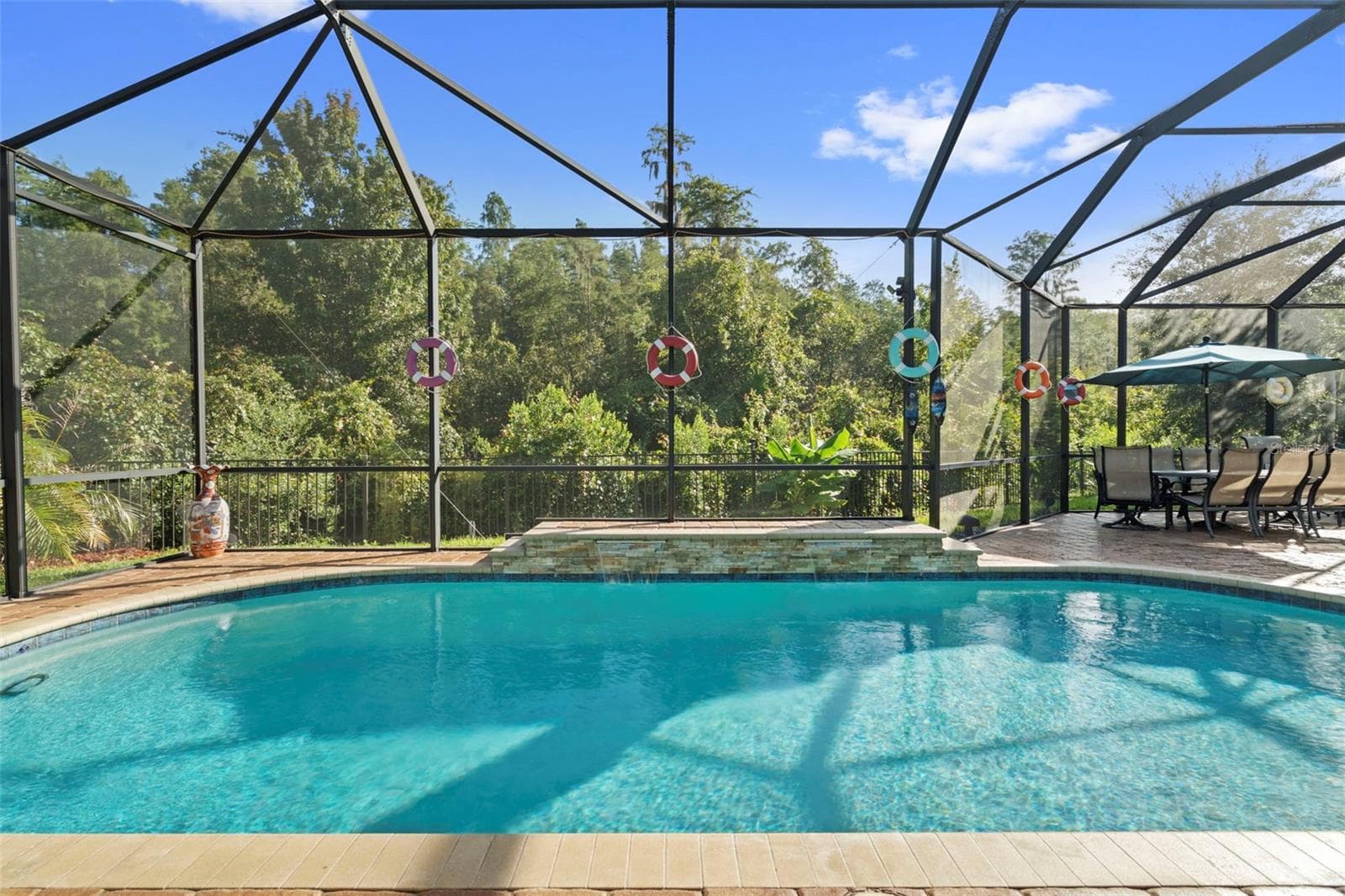 Conservation Lot - 30581 IVY FORGE CT, WESLEY CHAPEL
