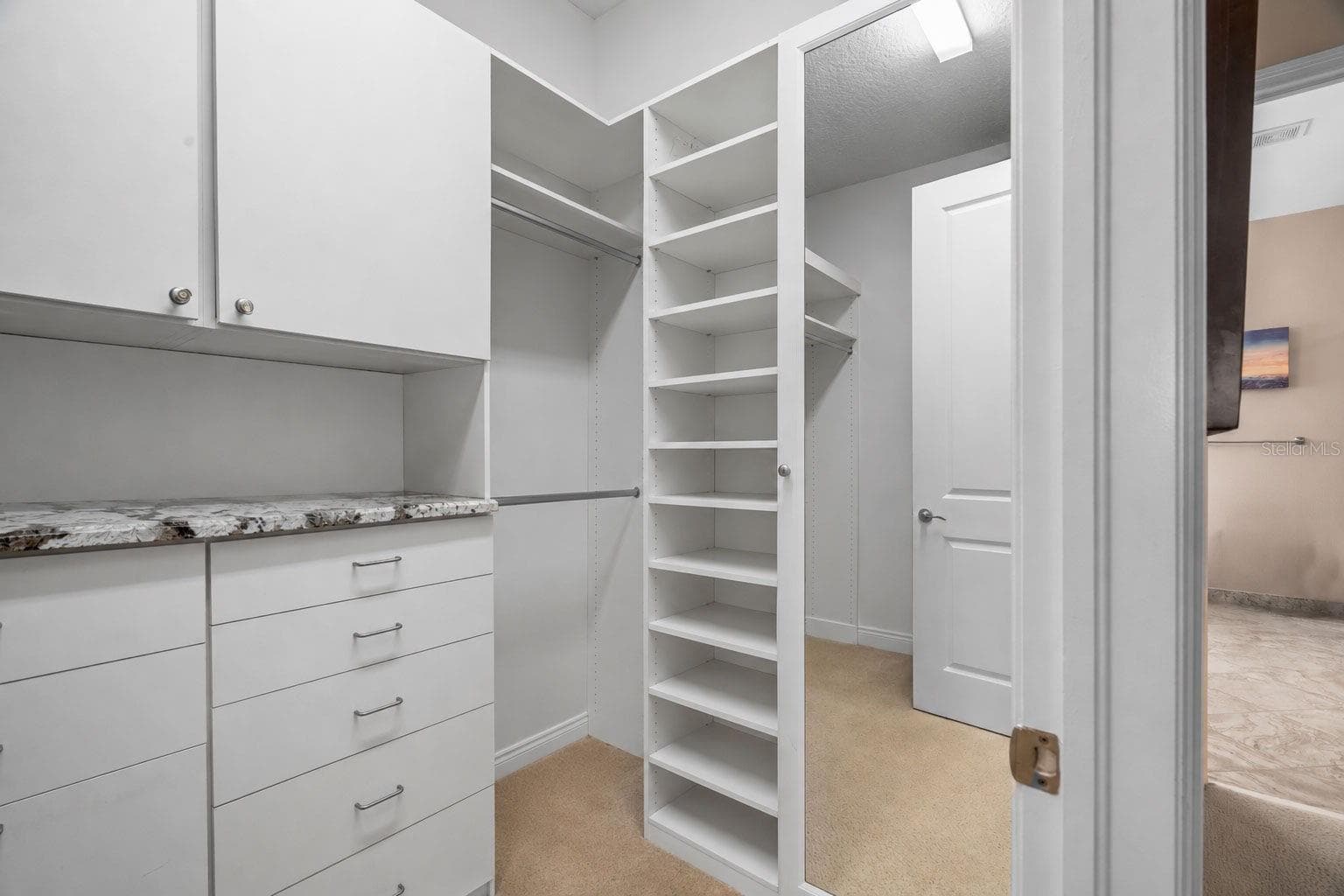 Owners custom closet - 30581 IVY FORGE CT, WESLEY CHAPEL