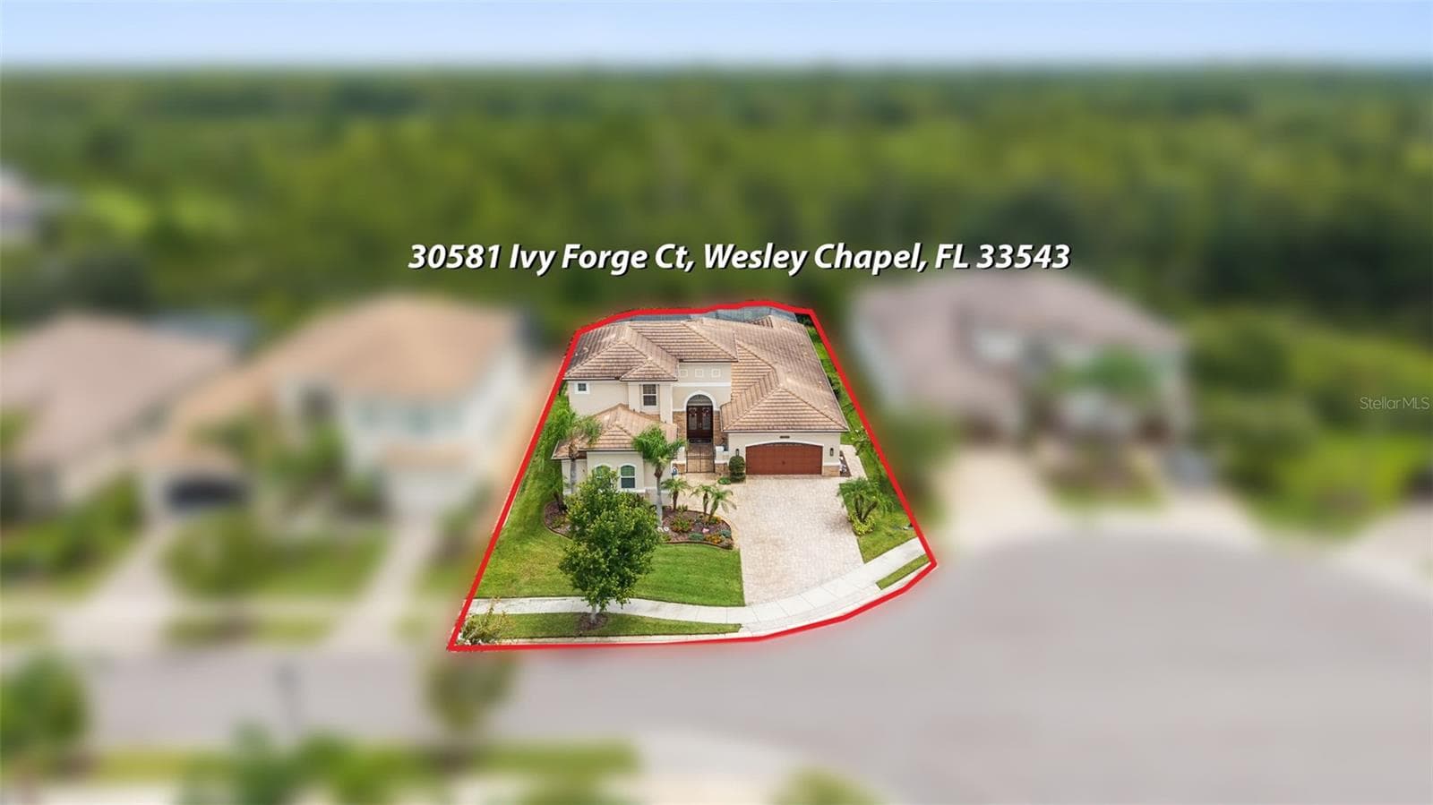 Single Family Residence at 30581 IVY FORGE CT, WESLEY CHAPEL, photo 60 of 80