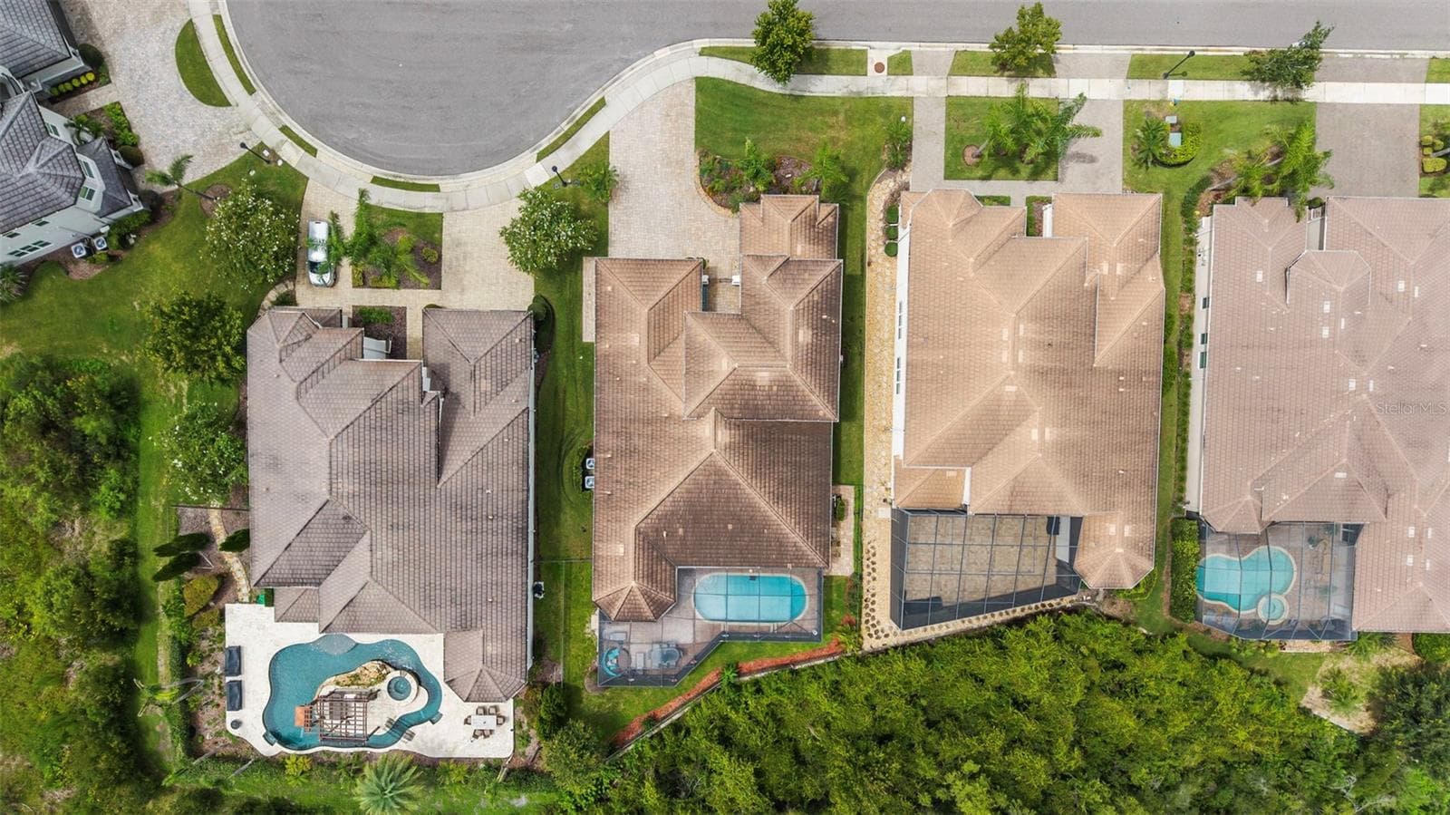 Aerial Pic - 30581 IVY FORGE CT, WESLEY CHAPEL