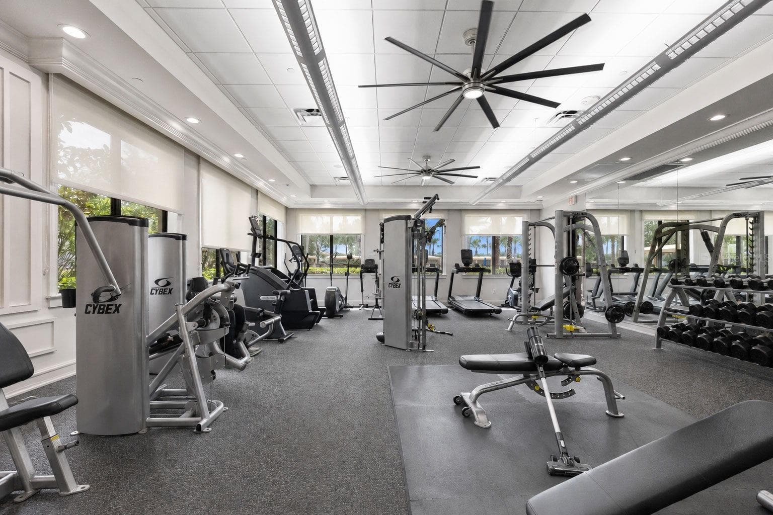 Gym - 30581 IVY FORGE CT, WESLEY CHAPEL