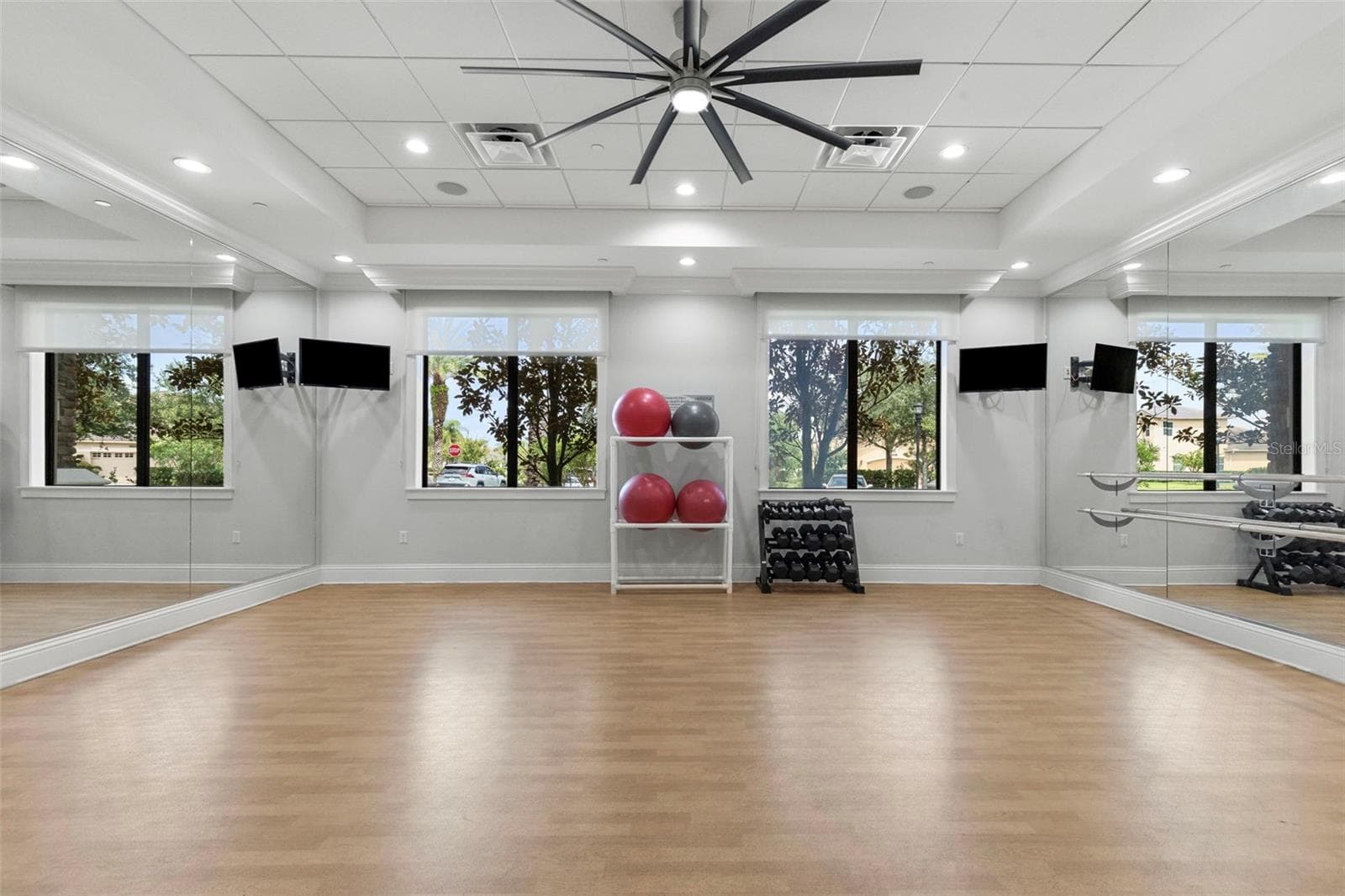 Yoga | Excercise Room - 30581 IVY FORGE CT, WESLEY CHAPEL