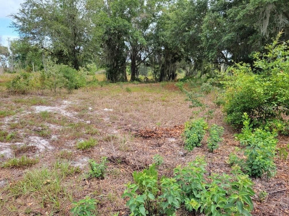 Land at E LAKE SHORE BLVD, KISSIMMEE, photo 3 of 13