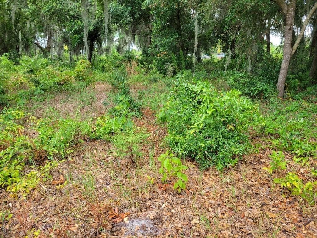 Land at E LAKE SHORE BLVD, KISSIMMEE, photo 4 of 13