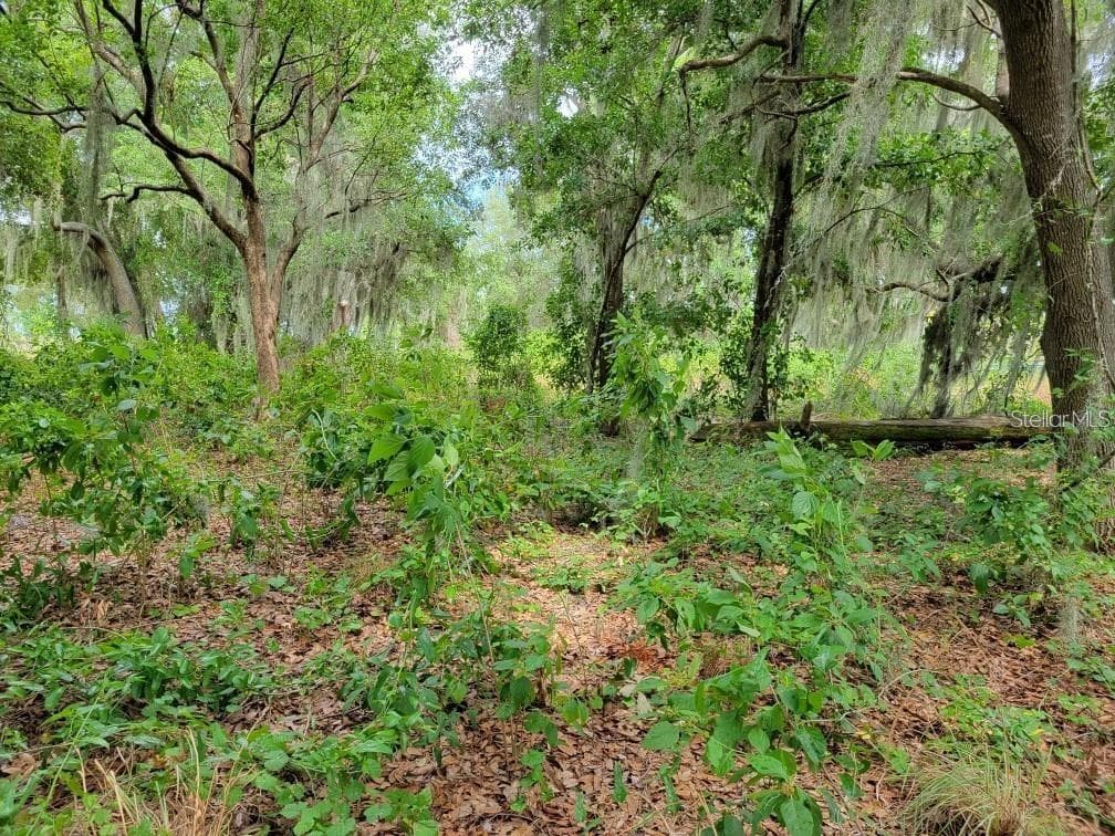 Land at E LAKE SHORE BLVD, KISSIMMEE, photo 5 of 13