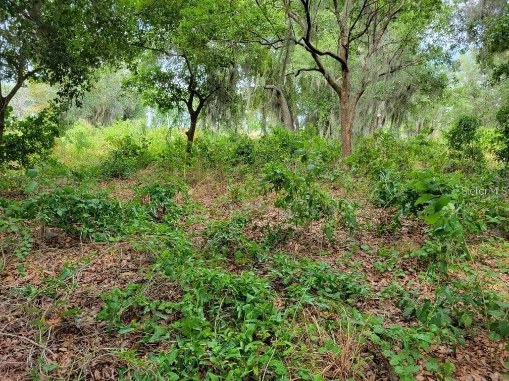 Land at E LAKE SHORE BLVD, KISSIMMEE, photo 6 of 13