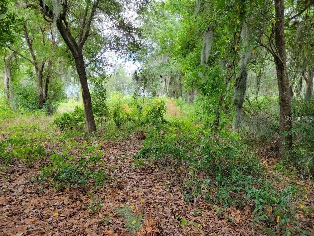 Land at E LAKE SHORE BLVD, KISSIMMEE, photo 7 of 13