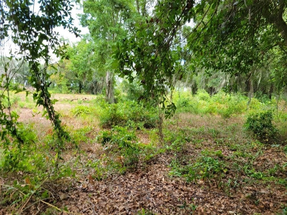 Land at E LAKE SHORE BLVD, KISSIMMEE, photo 11 of 13