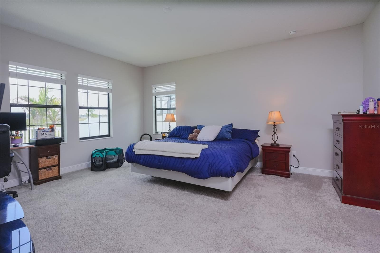 Primary Bedroom - 1st floor - 12648 BERGSTROM BAY DR, RIVERVIEW