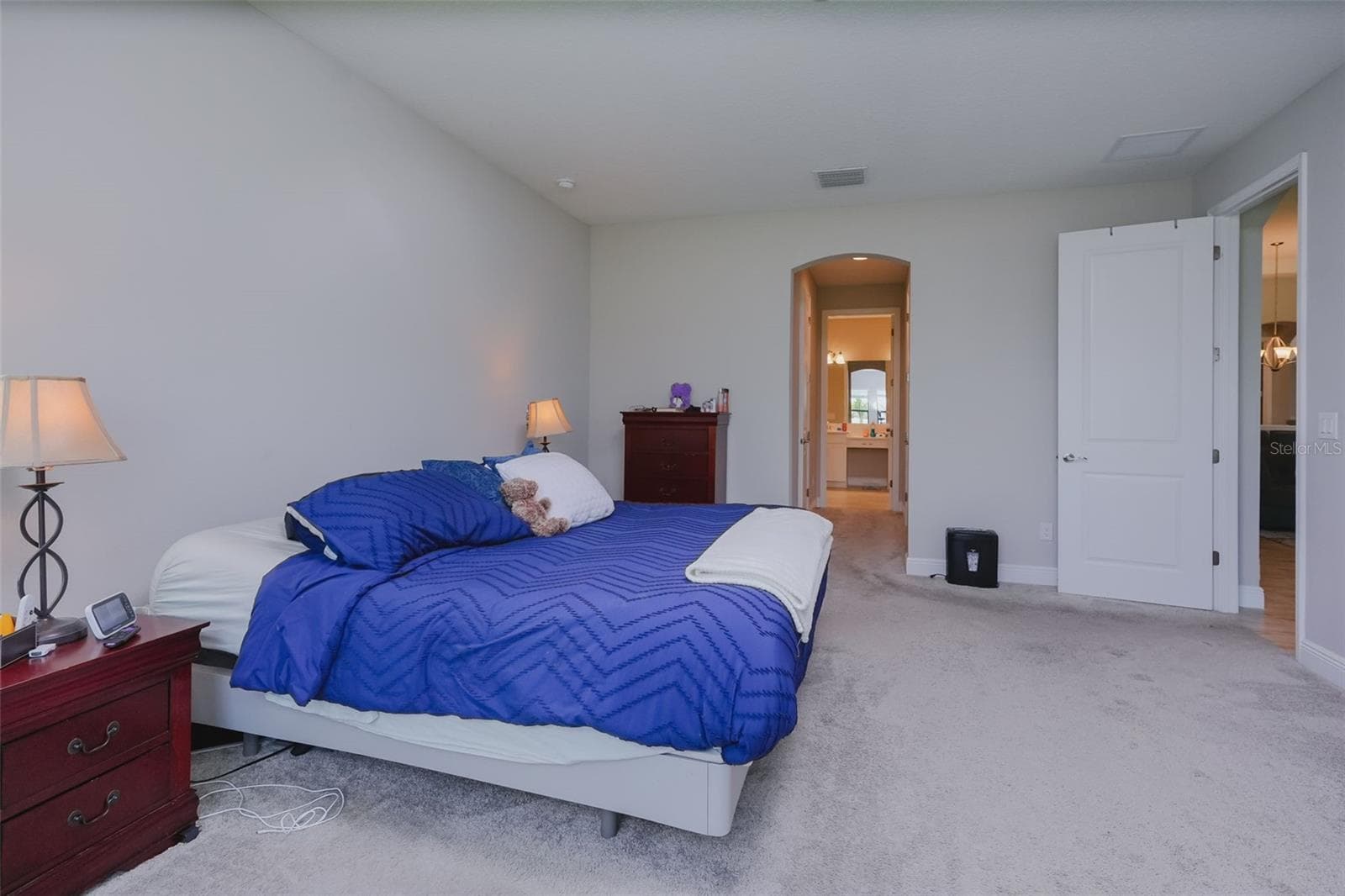 Primary Bedroom, two walk in closets - 12648 BERGSTROM BAY DR, RIVERVIEW