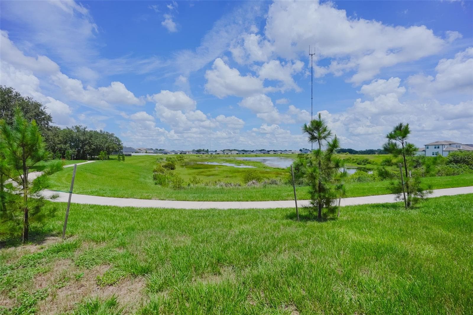 Walking trail - Conservation pond - 12648 BERGSTROM BAY DR, RIVERVIEW