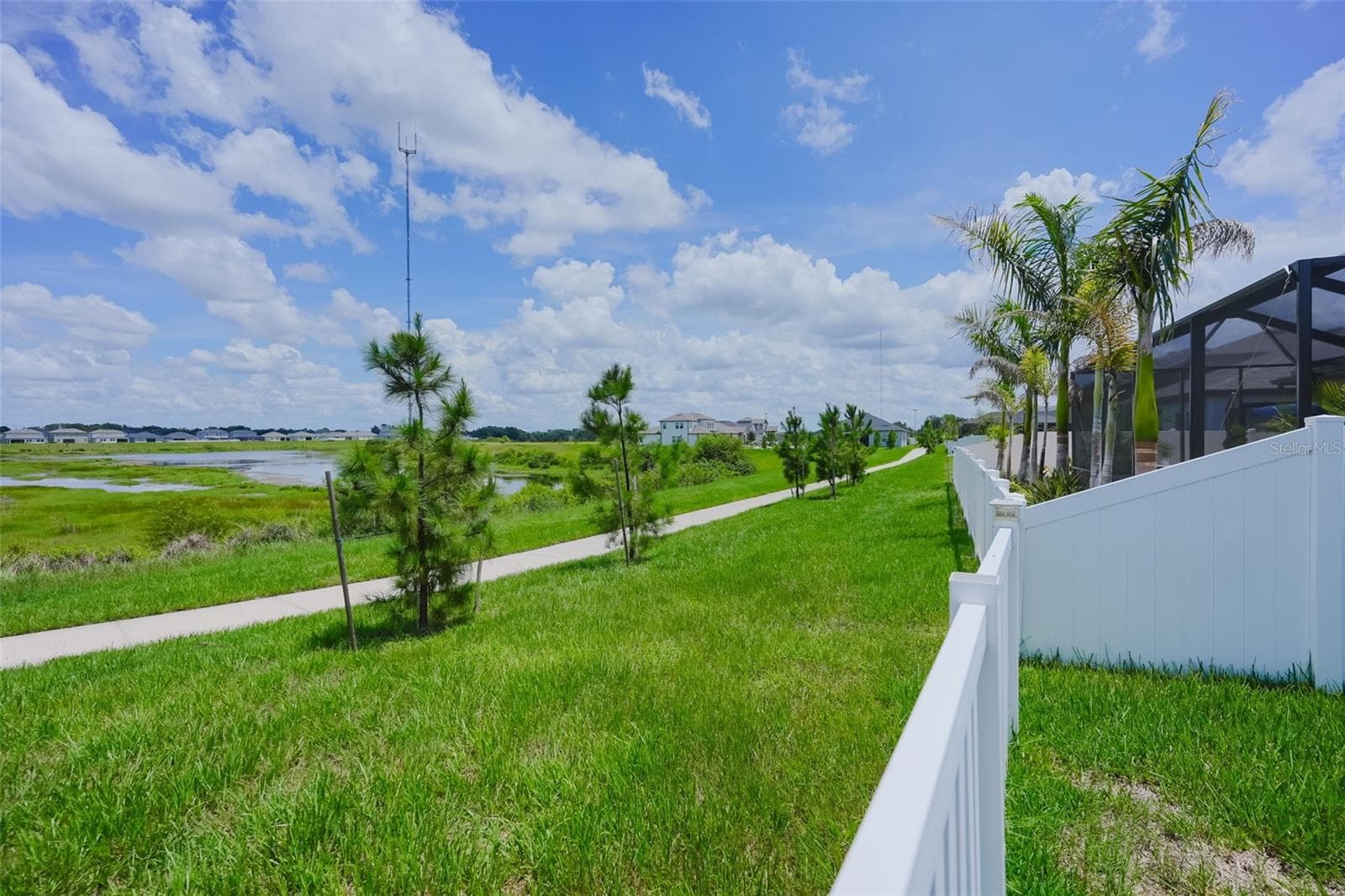 Conservation Pond view - 12648 BERGSTROM BAY DR, RIVERVIEW