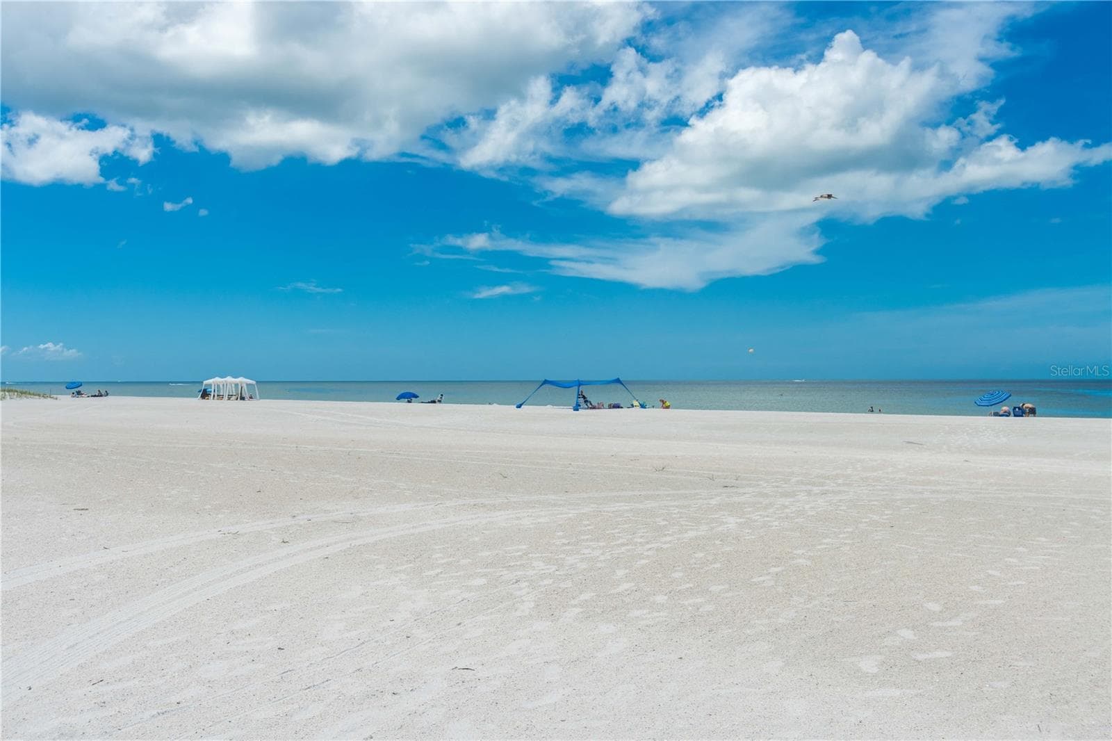 THE PRISTINE BEACH OF TREASURE ISLAND THE WIDEST AND BRIGHTEST - 11605 GULF BLVD #503, TREASURE ISLAND