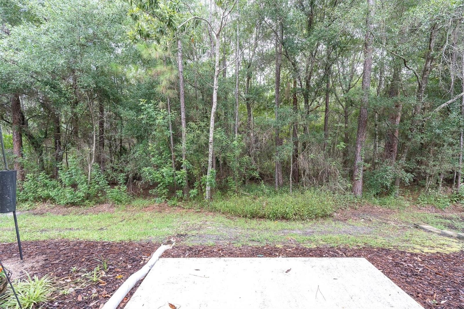 Townhouse at 12660 SILVERDALE ST, TAMPA, photo 43 of 48