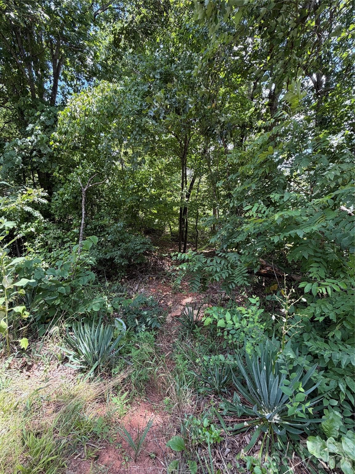 Acreage at 0 spindale Street, Spindale, photo 14 of 16