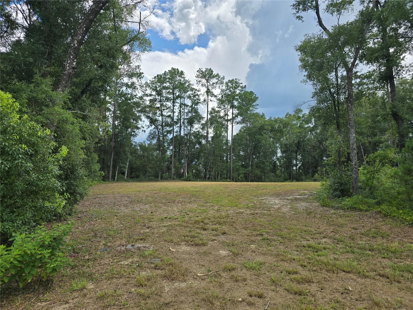 Land at 1003 SW 175TH CT, NEWBERRY, photo 3 of 9