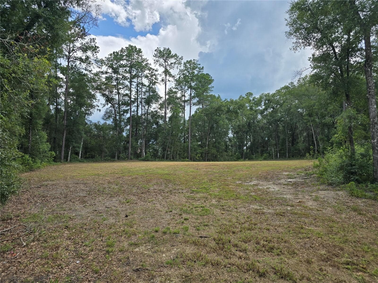 Land at 1003 SW 175TH CT, NEWBERRY, photo 4 of 9