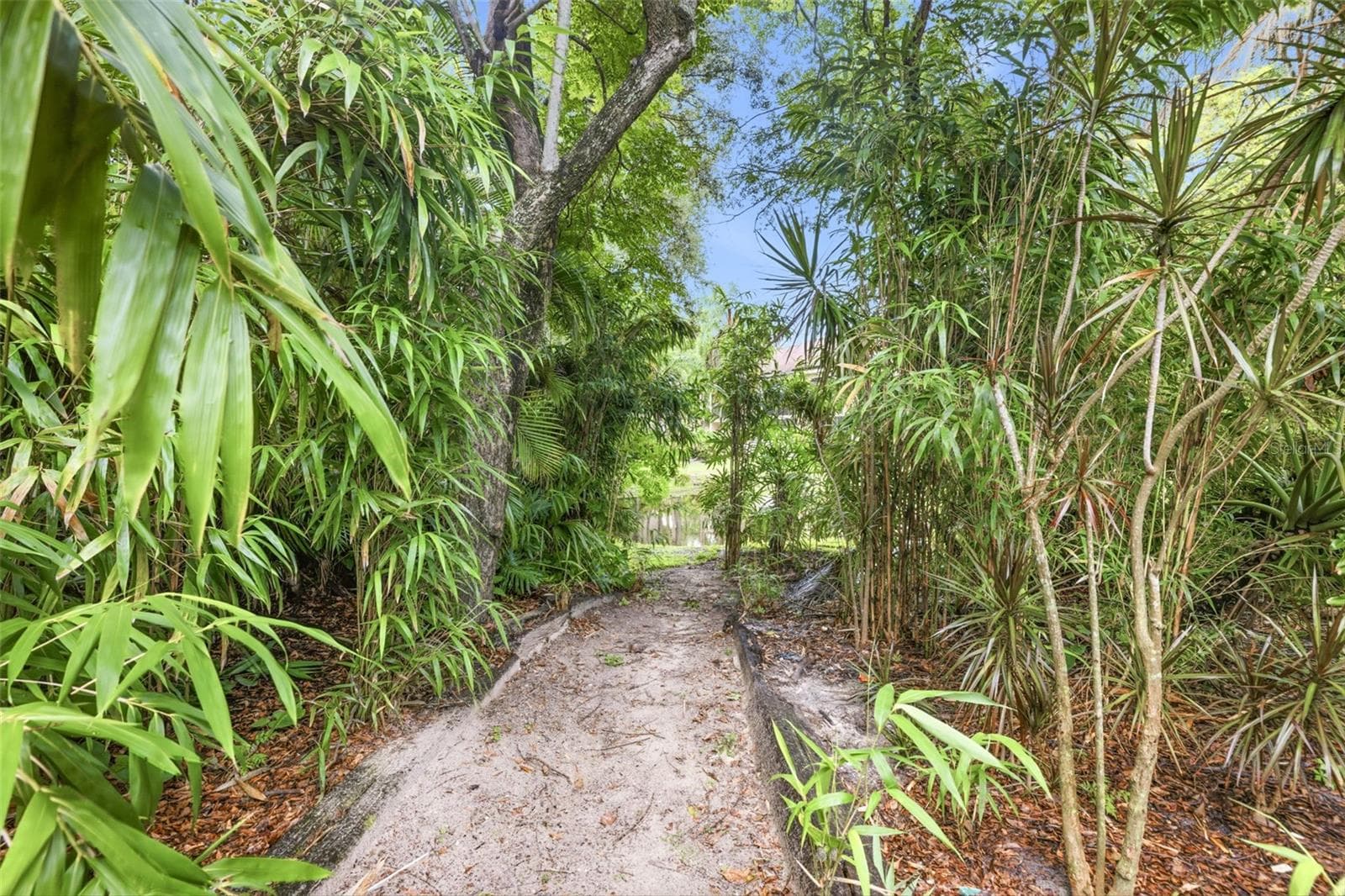 Condominium at 4873 PURITAN CIR #2401, TAMPA, photo 25 of 26