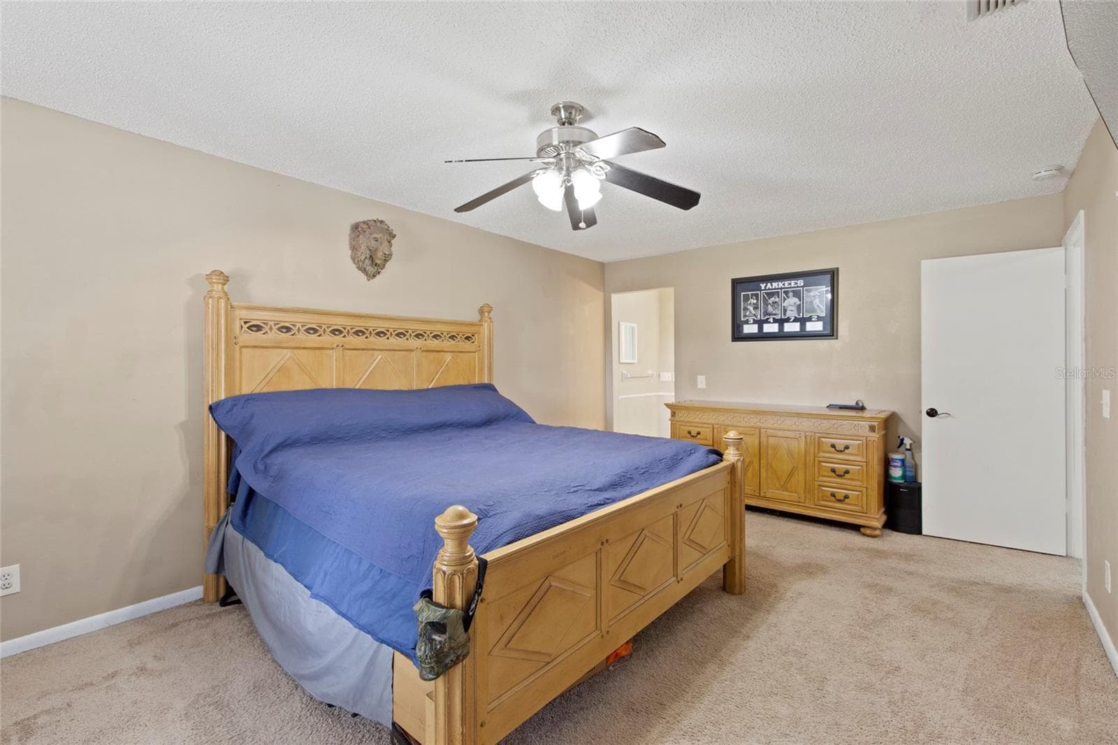 Primary BR - 16126 COUNTRY CROSSING DR, TAMPA