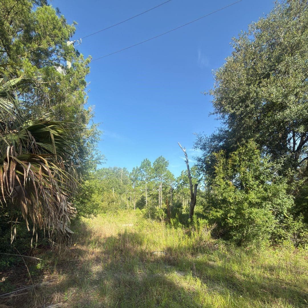 19037 PARAKEET RD