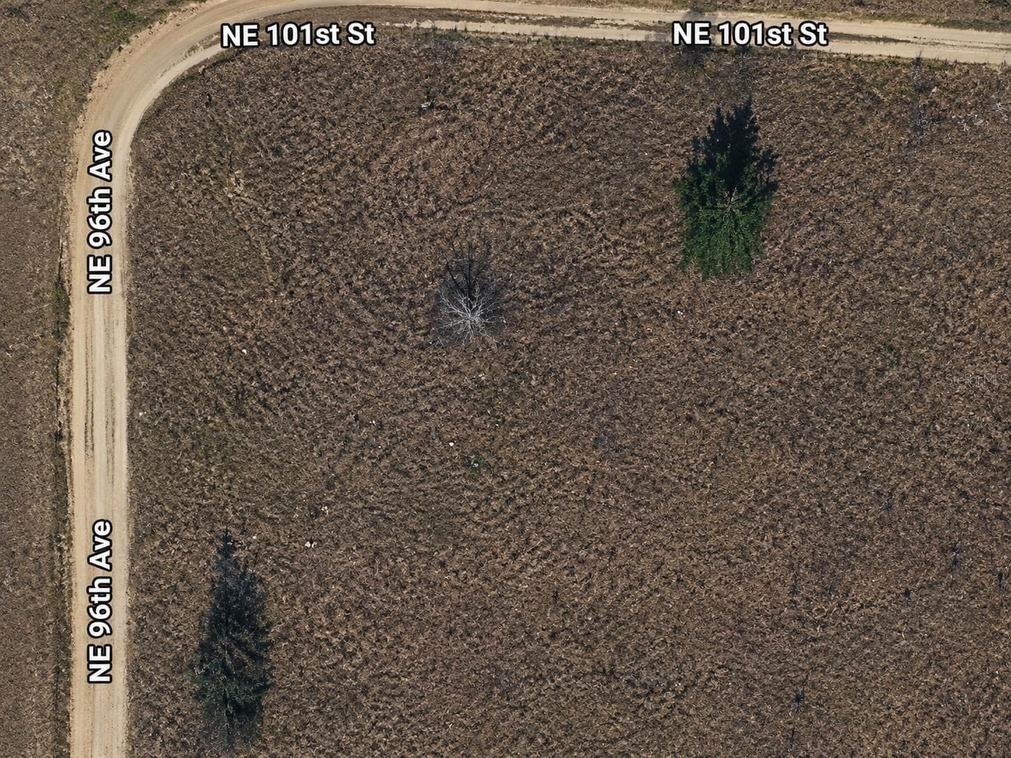 Land at NE 96 AVE, ARCHER, photo 7 of 8