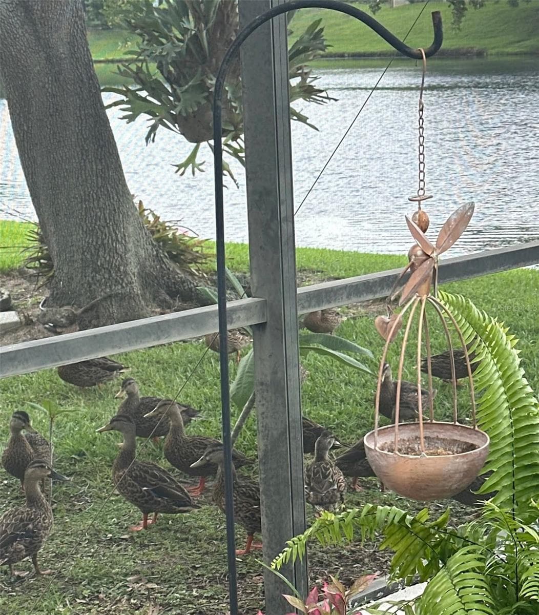 wild life! don't forget to feed the ducks! - 2848 ALOMA LAKE RUN, OVIEDO