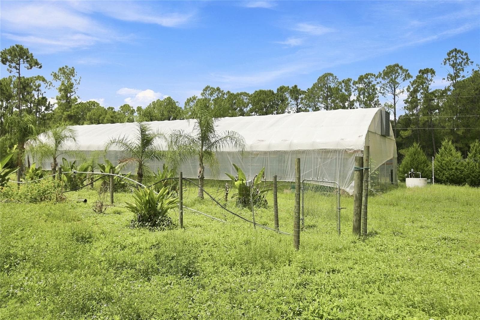 Agriculture at 8146 TROPICAIRE BLVD, NORTH PORT, photo 9 of 20