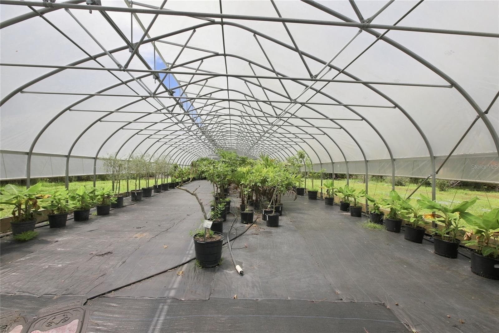 Agriculture at 8146 TROPICAIRE BLVD, NORTH PORT, photo 12 of 20
