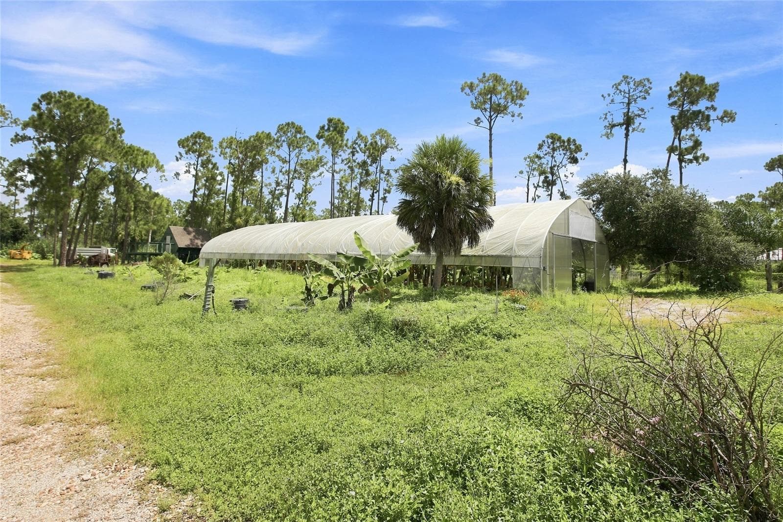 Agriculture at 8146 TROPICAIRE BLVD, NORTH PORT, photo 13 of 20