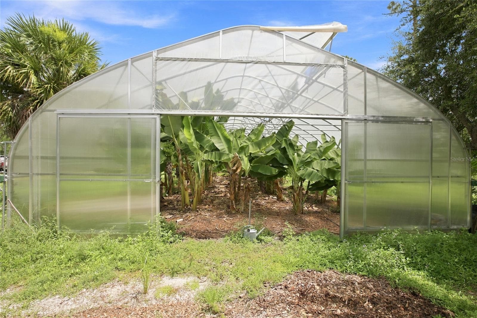 Agriculture at 8146 TROPICAIRE BLVD, NORTH PORT, photo 14 of 20