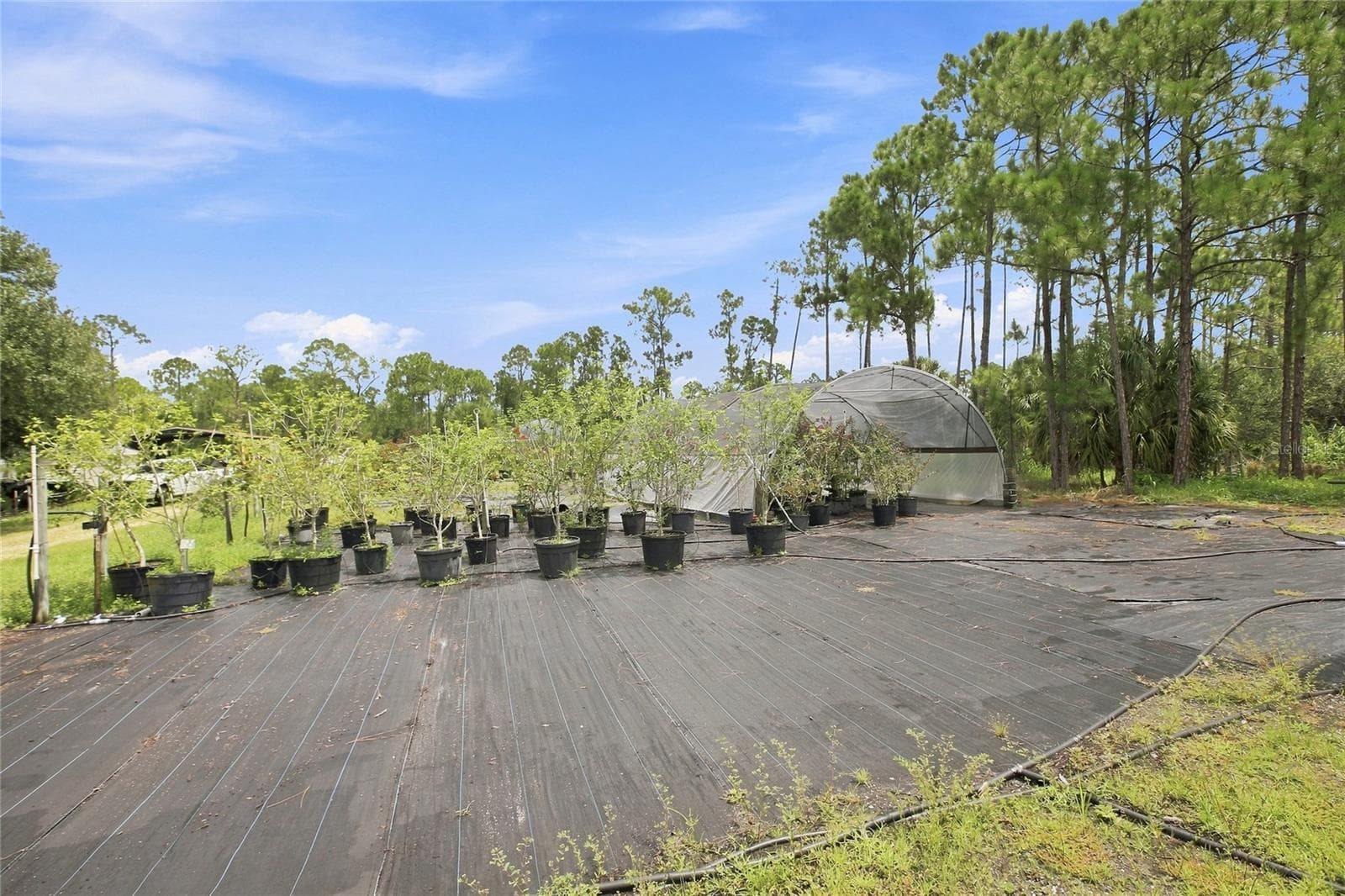 Agriculture at 8146 TROPICAIRE BLVD, NORTH PORT, photo 16 of 20