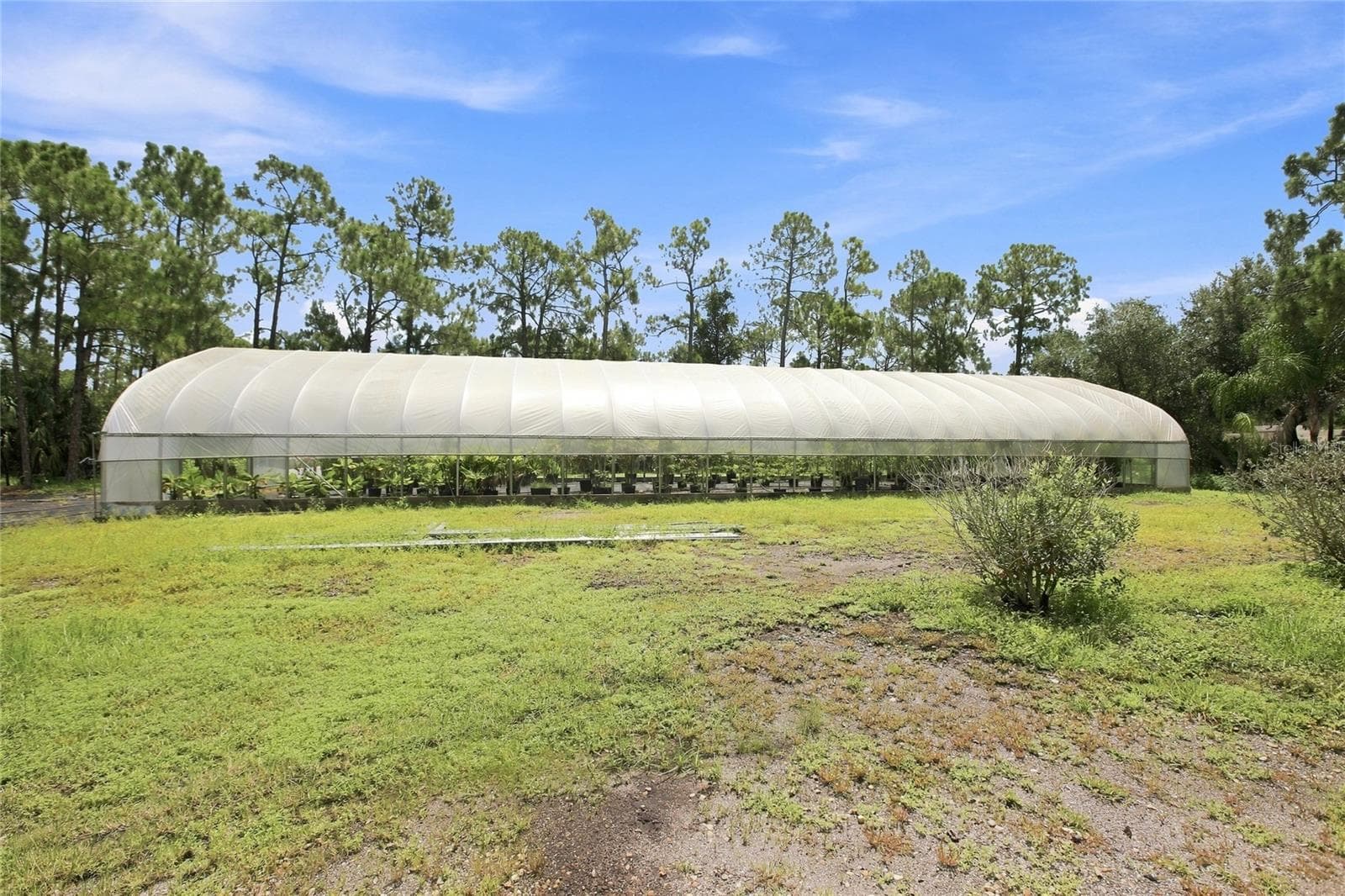 Agriculture at 8146 TROPICAIRE BLVD, NORTH PORT, photo 17 of 20
