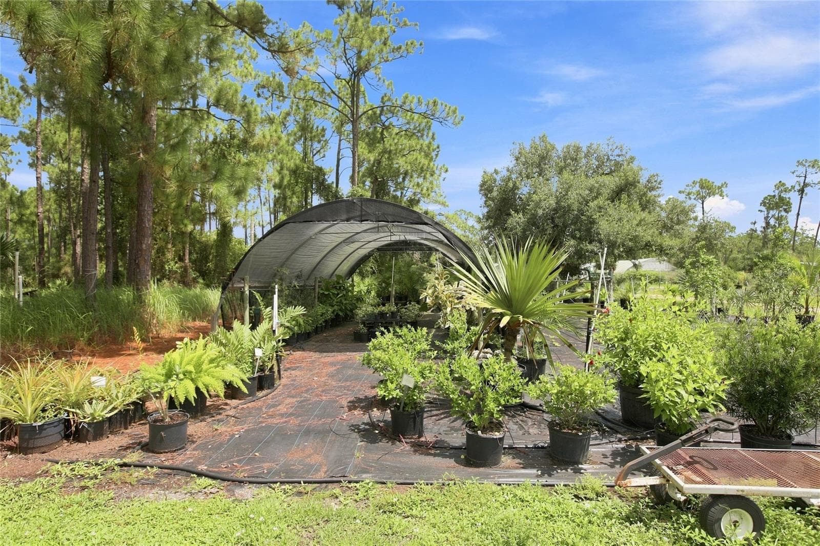 Agriculture at 8146 TROPICAIRE BLVD, NORTH PORT, photo 18 of 20