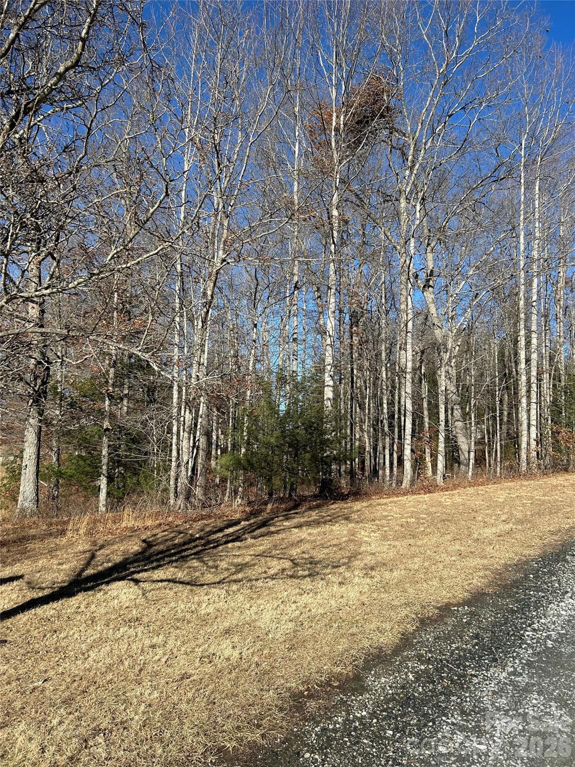 TBD Bear Den Road