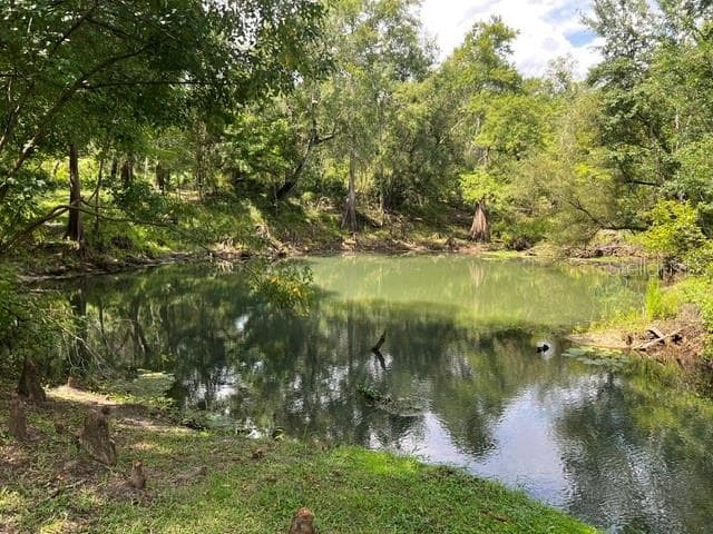 On-site fishing hole - 39849 STATE ROAD 575, DADE CITY