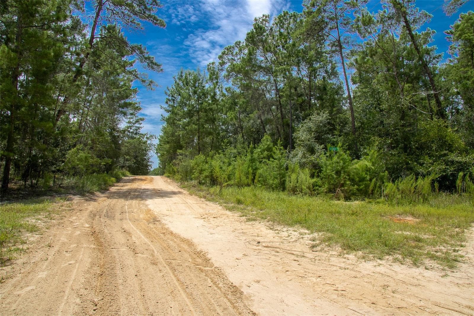 Land at 206 UTAH ST, SATSUMA, photo 11 of 11
