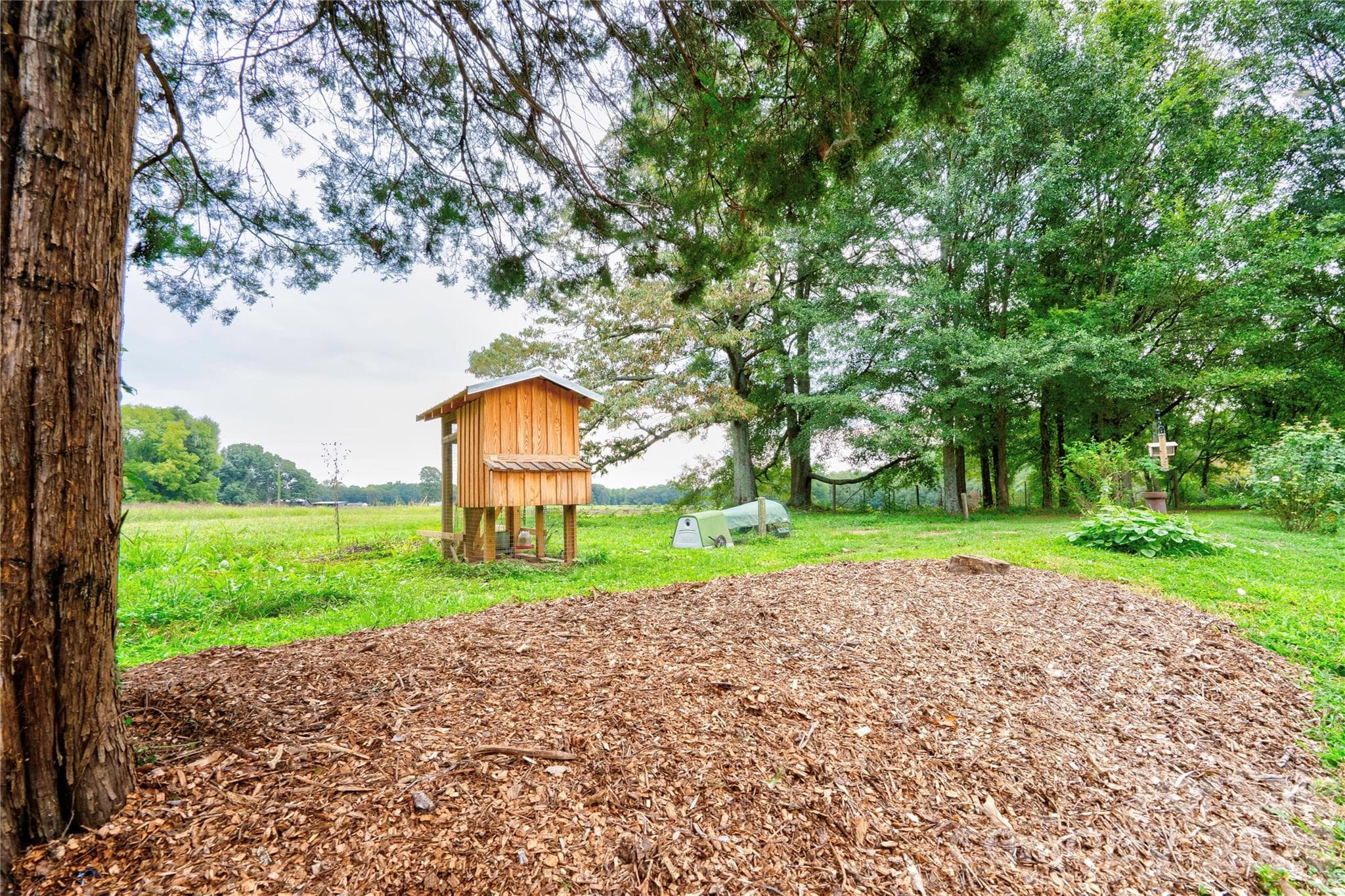 Side Yard - 411 Pleasant Ridge Church Road, Shelby