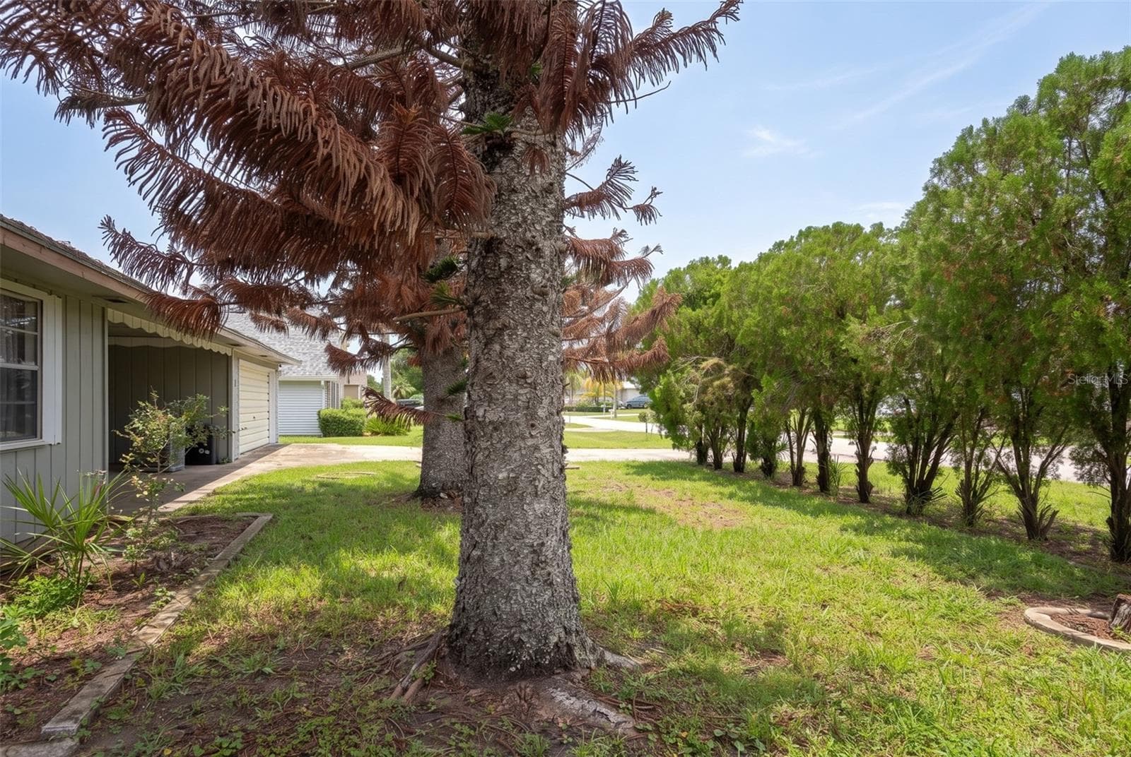 Single Family Residence at 21 CUNNINGHAM DR, NEW SMYRNA BEACH, photo 42 of 56