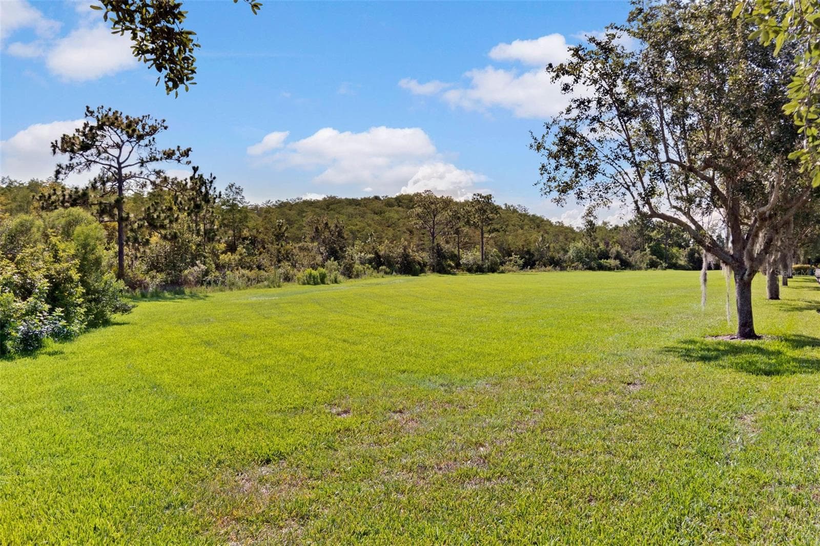 Half Duplex at 12004 KAJETAN LN, ORLANDO, photo 82 of 97