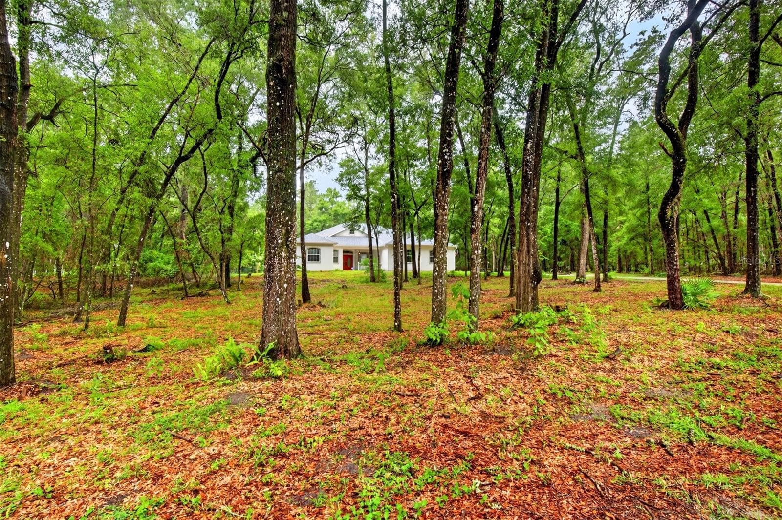 Single Family Residence at 7550 SW 185TH CIR, DUNNELLON, photo 3 of 47