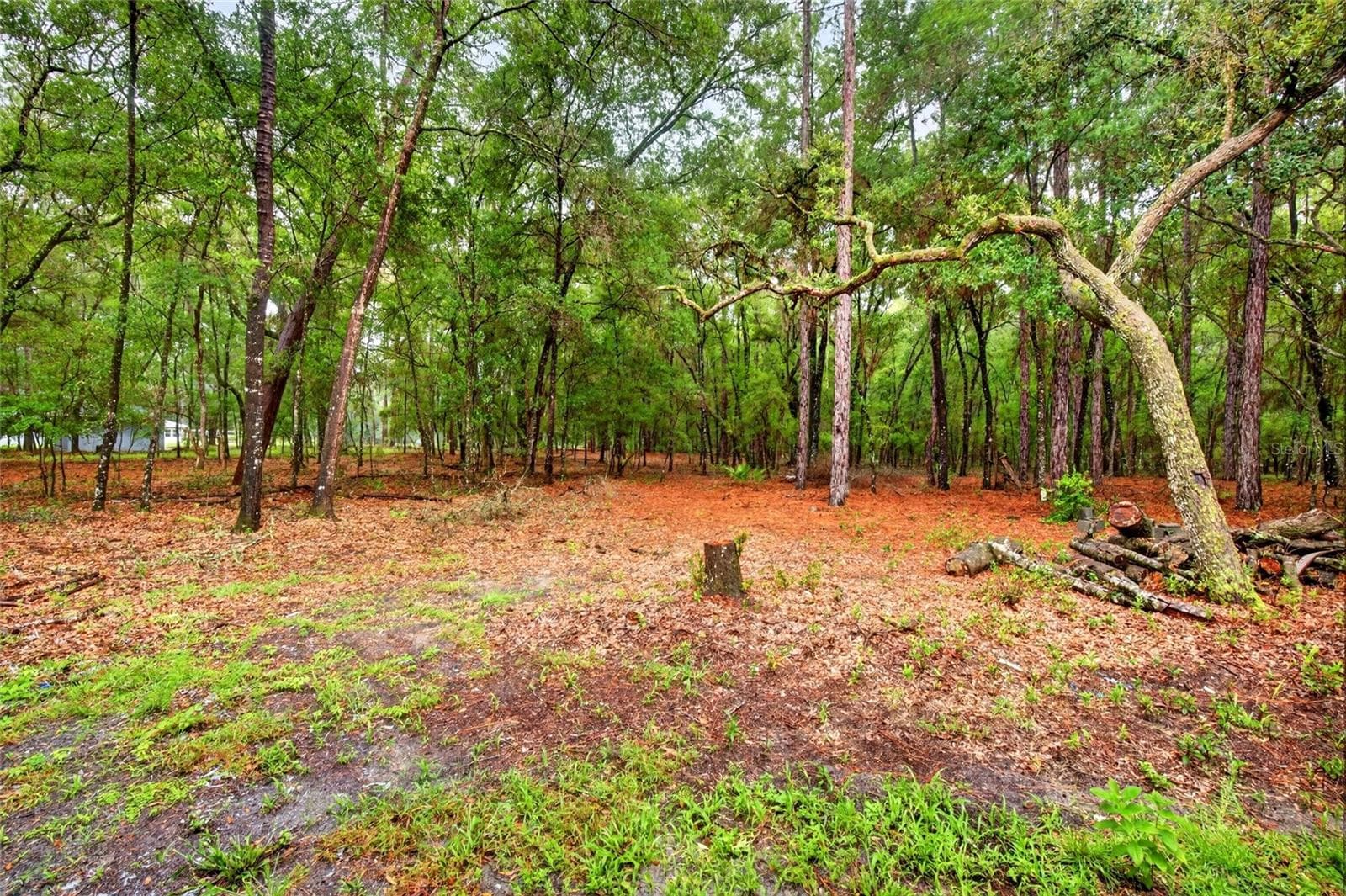 Single Family Residence at 7550 SW 185TH CIR, DUNNELLON, photo 47 of 47