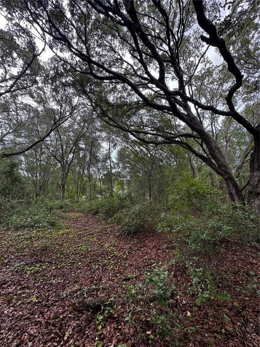 Land at 00 SE 115TH PLACE RD., OCKLAWAHA, photo 5 of 10