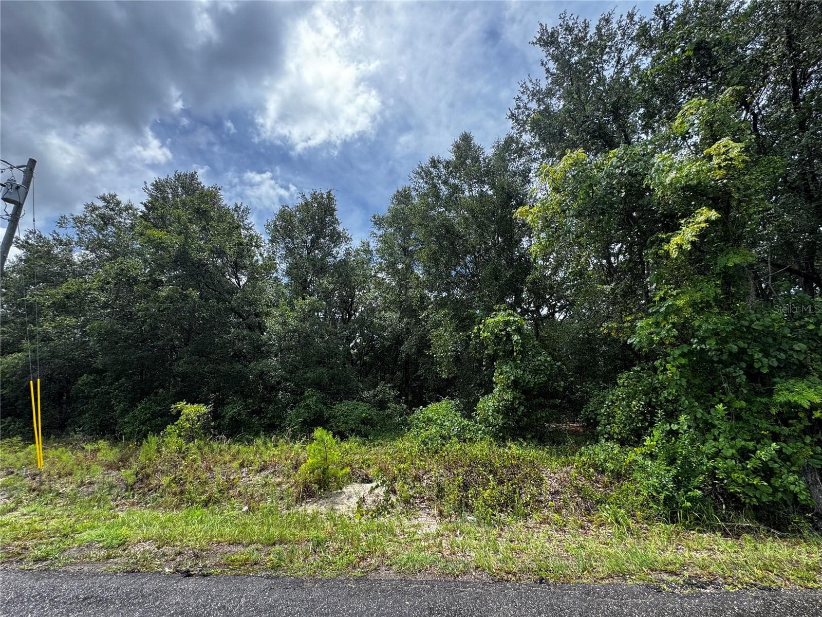 Land at 00 SE 115TH PLACE RD., OCKLAWAHA, photo 6 of 10