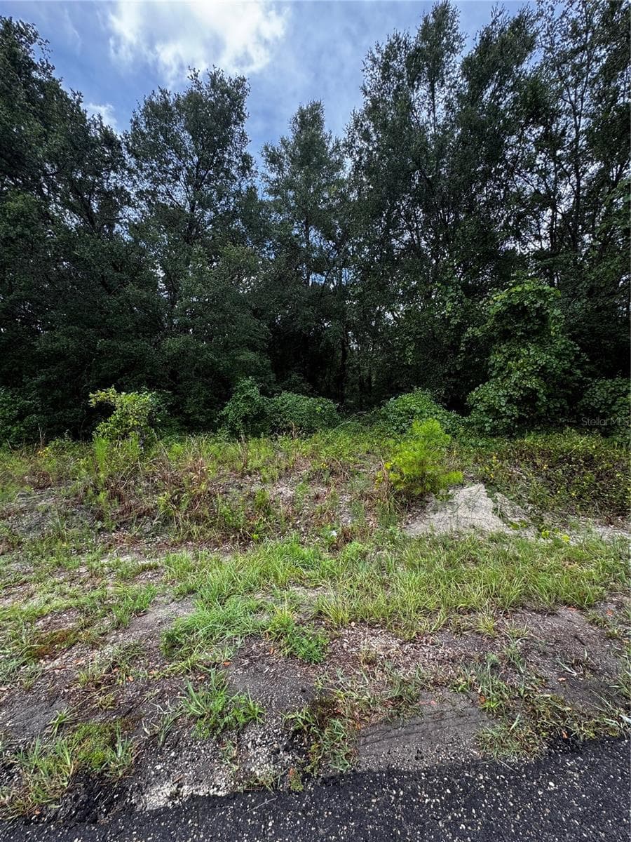Land at 00 SE 115TH PLACE RD., OCKLAWAHA, photo 7 of 10