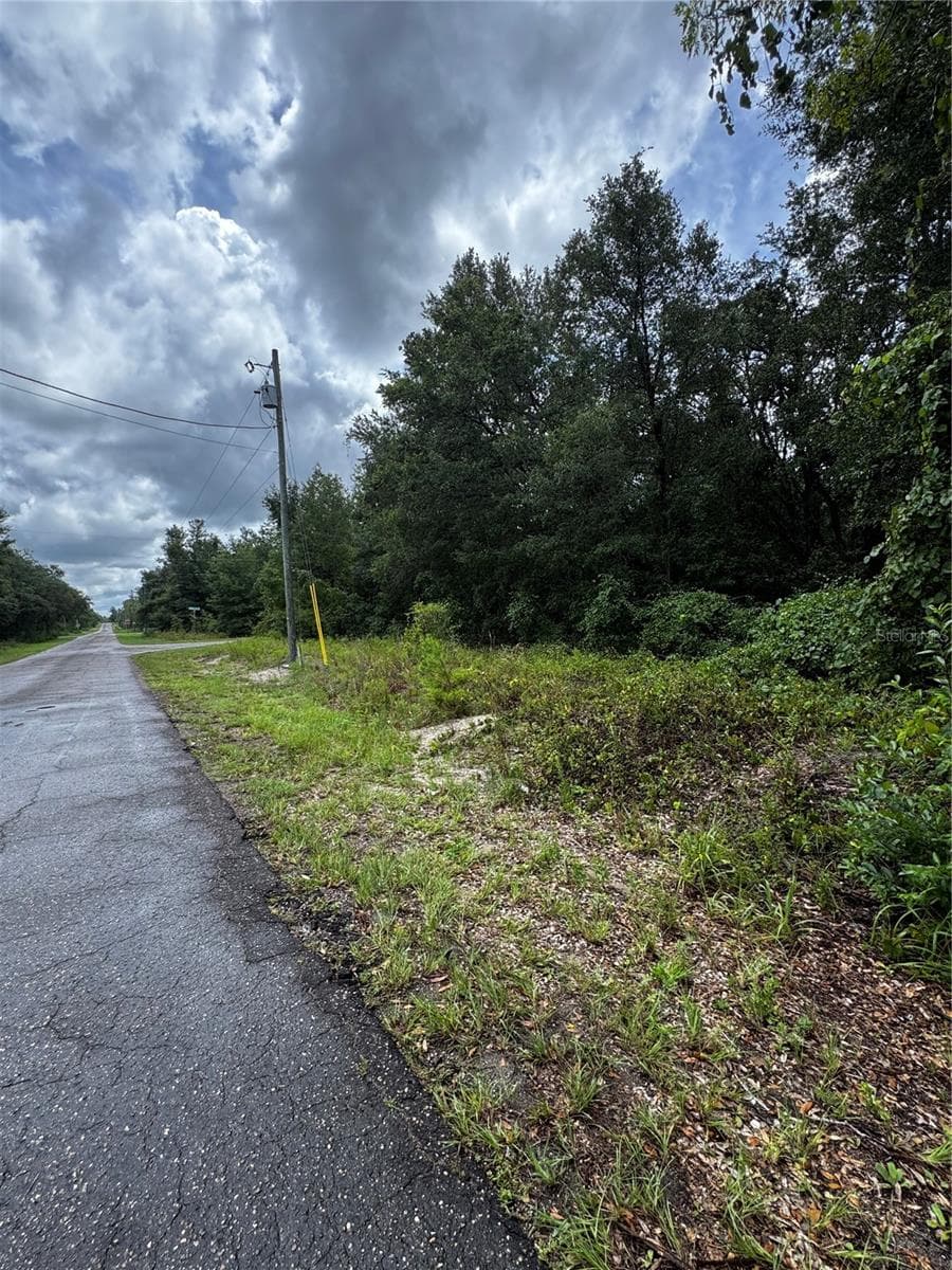 Land at 00 SE 115TH PLACE RD., OCKLAWAHA, photo 8 of 10