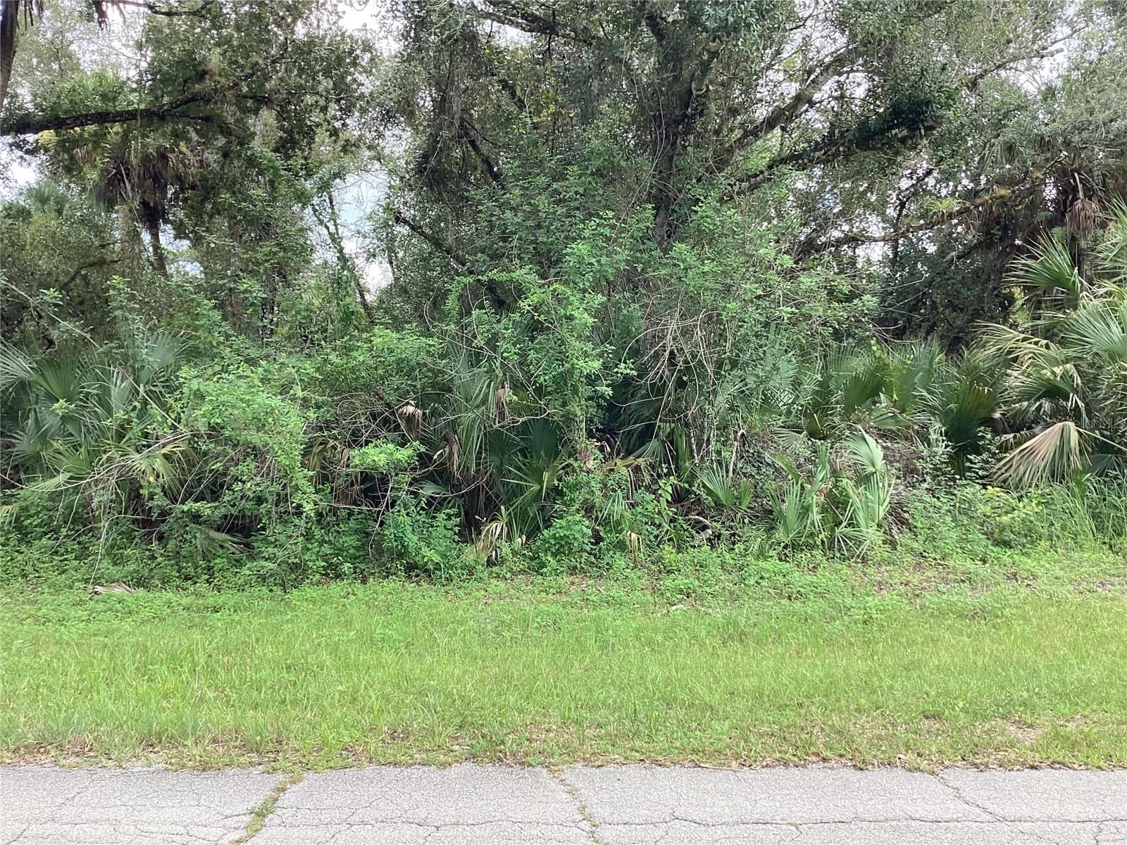 Wooded Lot With Paved Road Frontage - MARCH LN, LABELLE