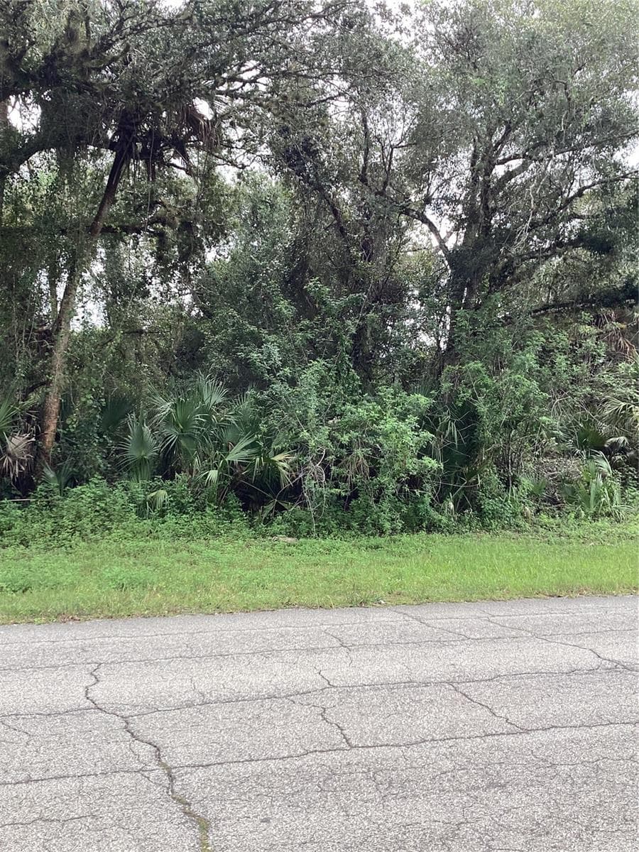 Wooded Lot With Paved Road Frontage - MARCH LN, LABELLE