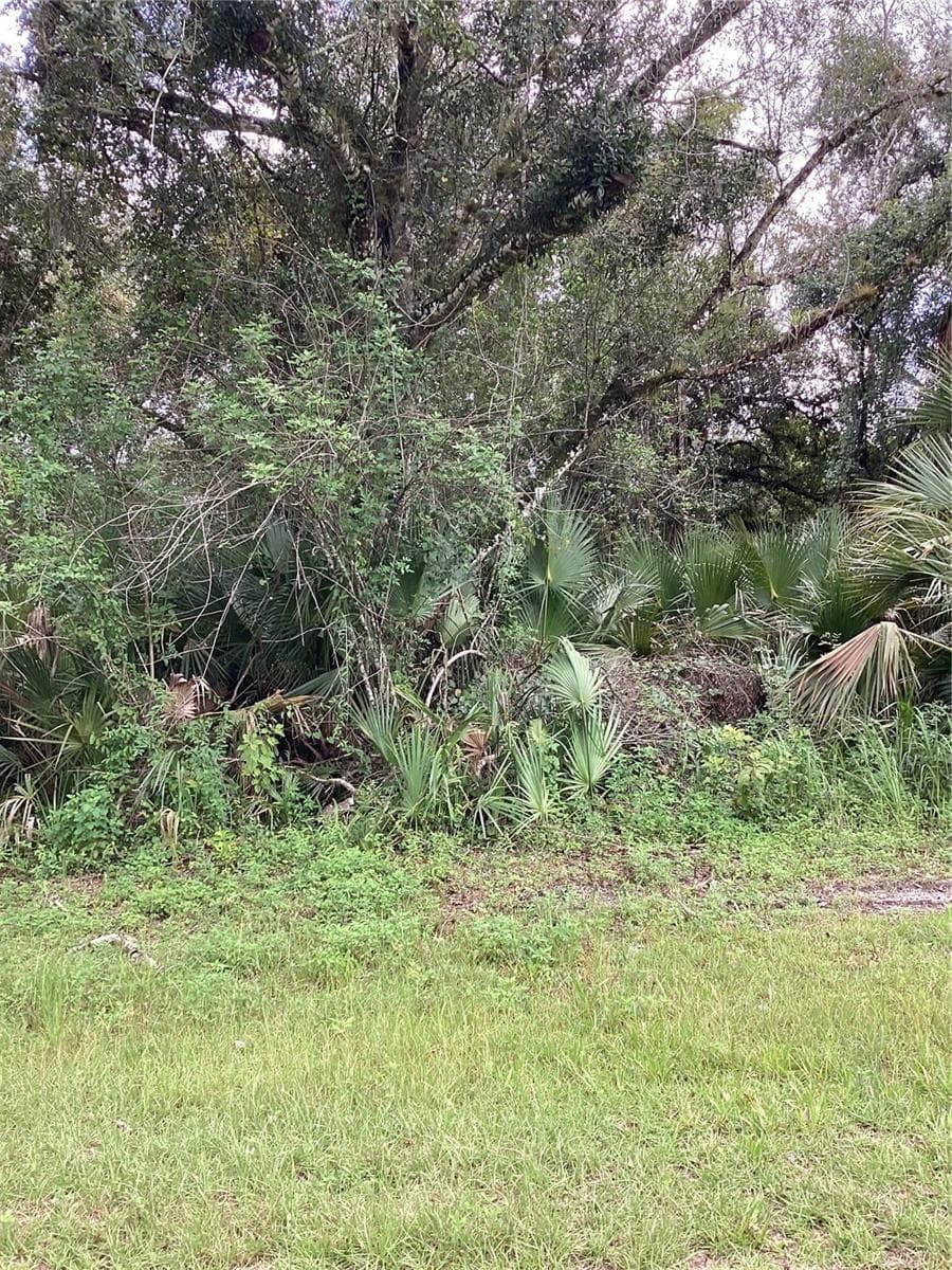 Wooded Lot - MARCH LN, LABELLE