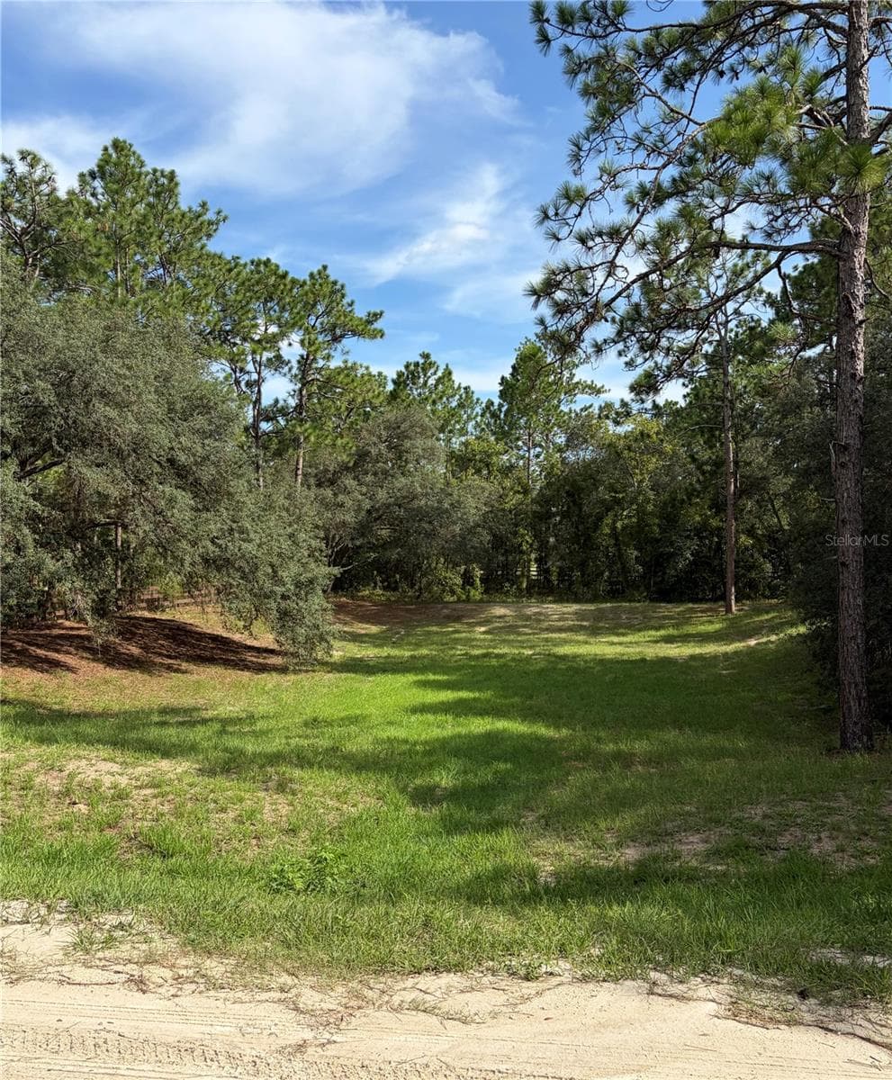 retention area on east side - 12640 SW 76TH LN, DUNNELLON