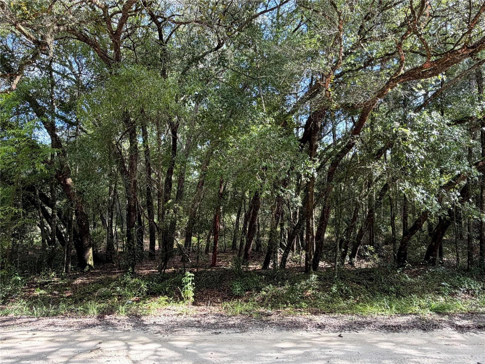 Land at 12640 SW 76TH LN, DUNNELLON, photo 5 of 8